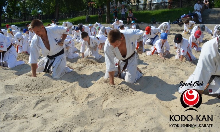 Карате для детей 16-17 лет